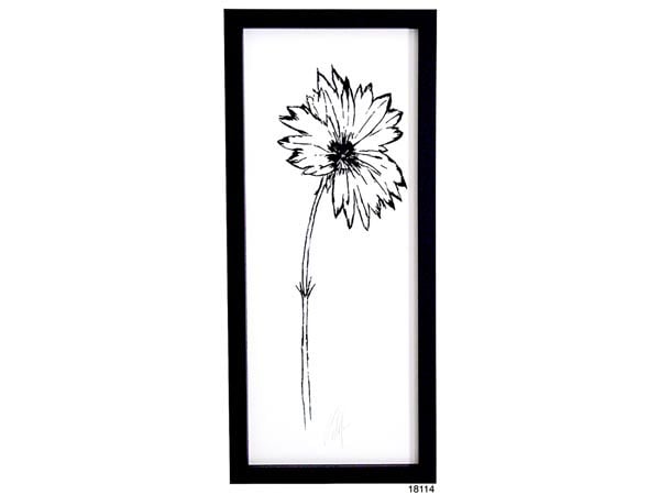 Rent the Bentley Plane I Framed Wall Art