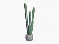 thumb image 0