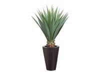 thumb image 0