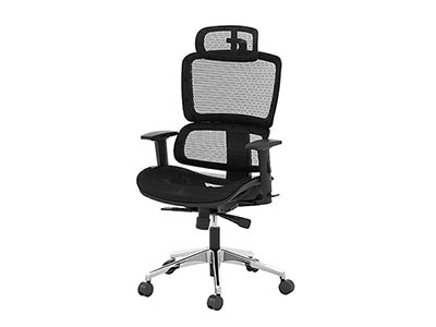 Rocky Mesh Guest Chair
